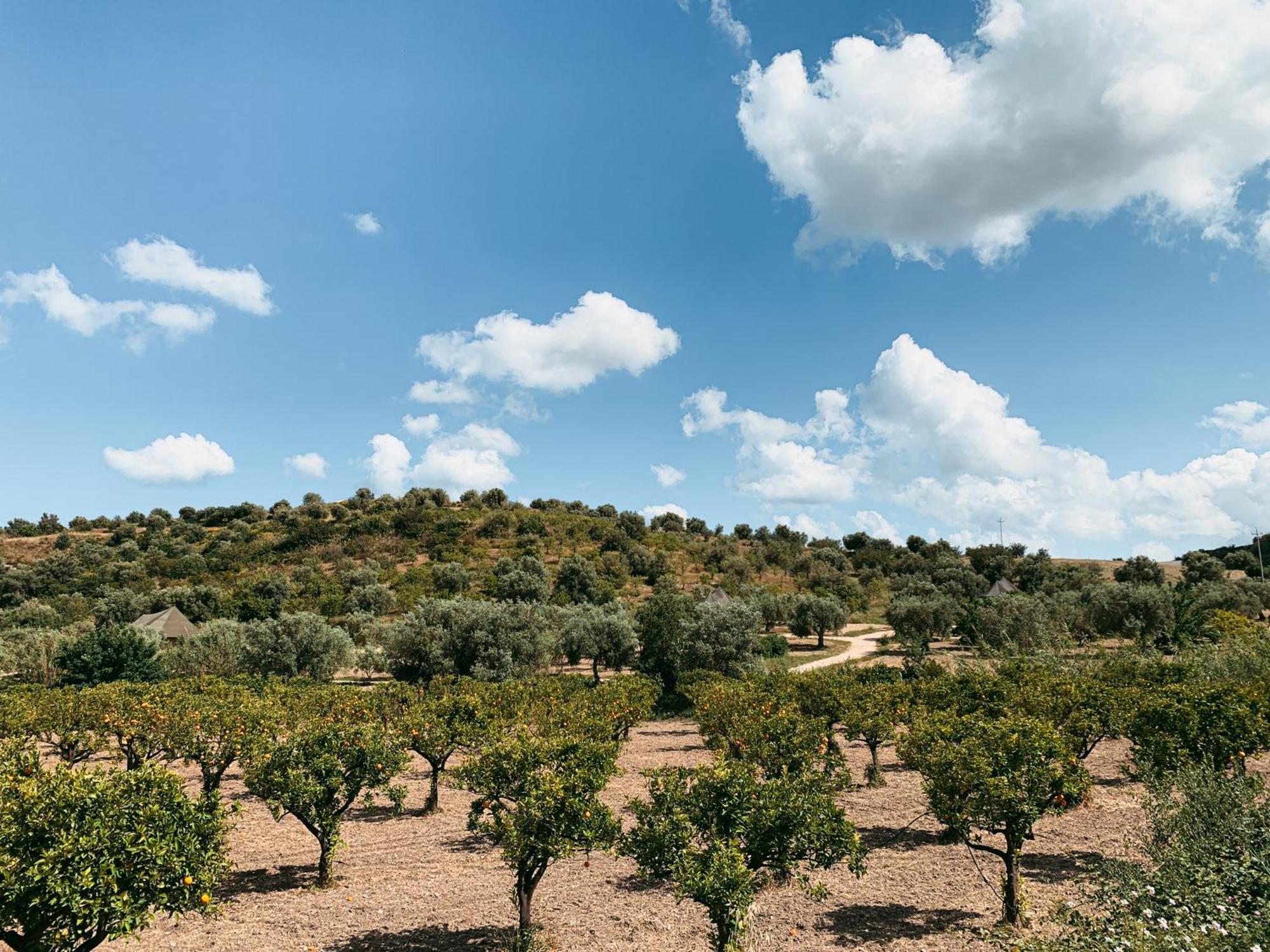 Villa Iuta Farm Noto Exterior foto